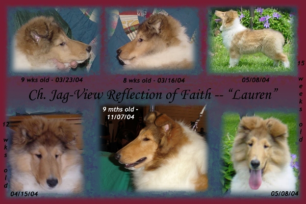 Ch. Jag-View Reflection of Faith | "Lauren"