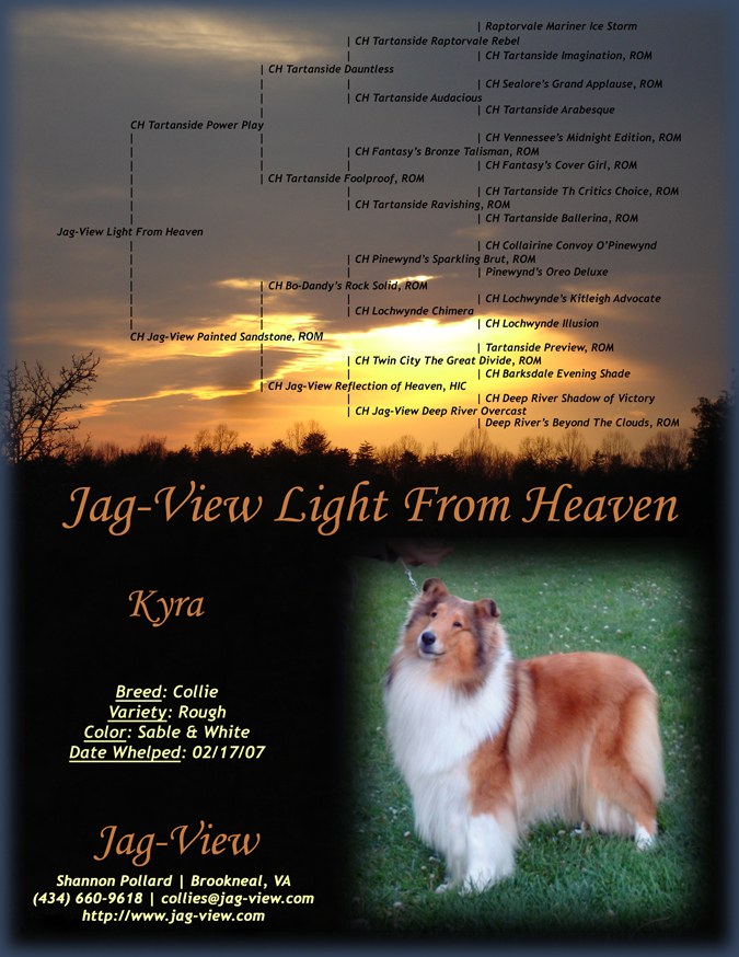Pedigree | Ch. ptd., Jag-View Light From Heaven