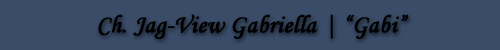 Jag-View Gabriella | "Gabi"